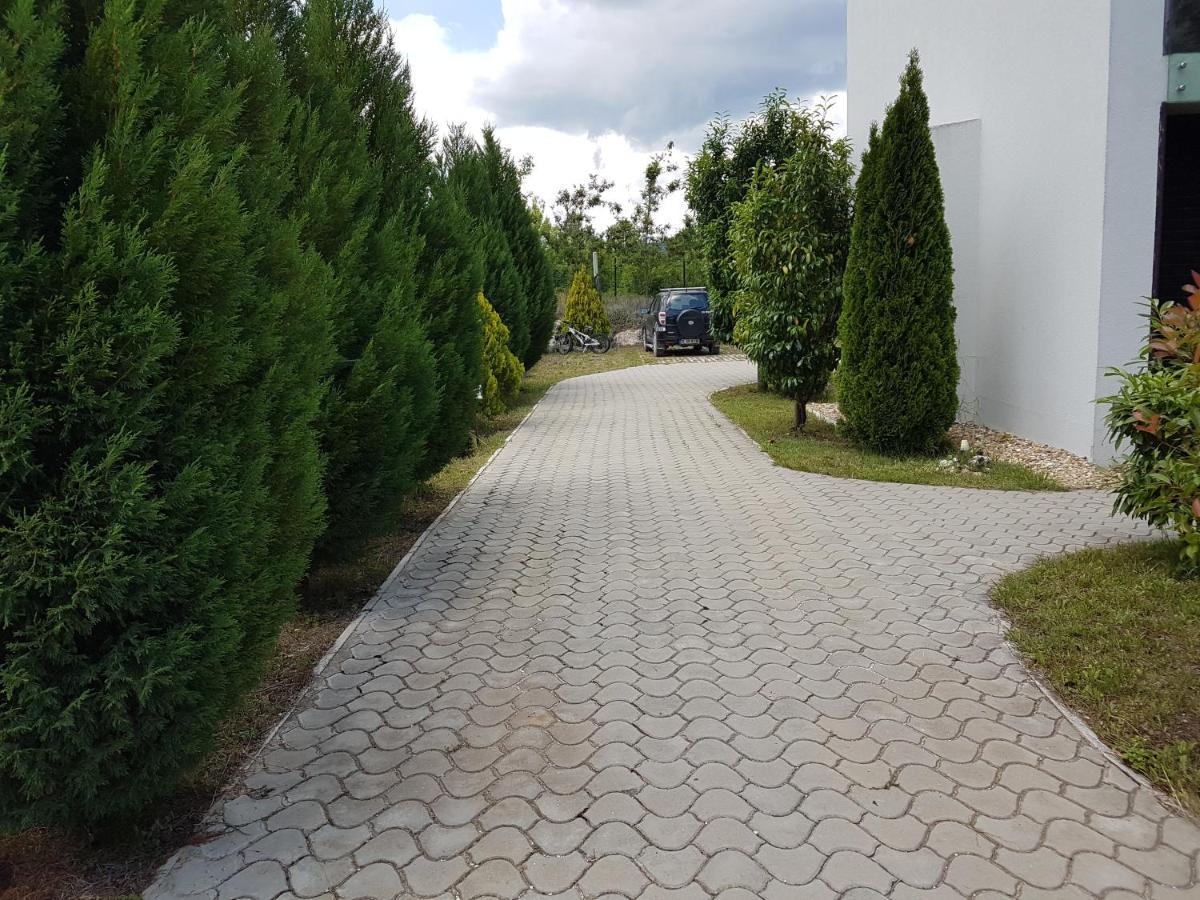 Zlaten Briz Villa Osenovo المظهر الخارجي الصورة
